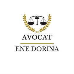 Avocat Ene Dorina, Slatina