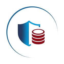DS Cyberguard SRL, Baia Mare