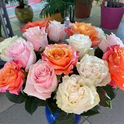 Flower delivery, Ploieşti