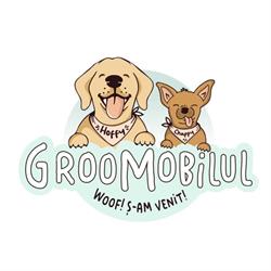 GrooMobilul, Bucureşti