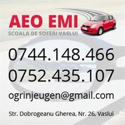 AEO EMI SRL, Vaslui