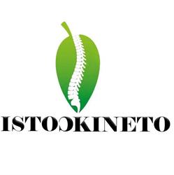 istoCKineto, Roman