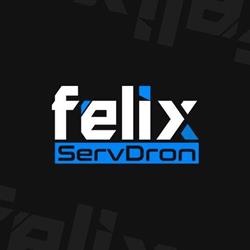 Felix ServDron, Brăila