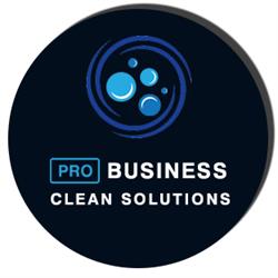Pro Business Clean Solutions, Alba Iulia