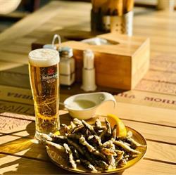 Taverna Oltenească, Craiova
