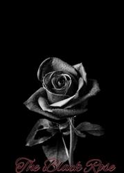 The Black Rose, Bucureşti
