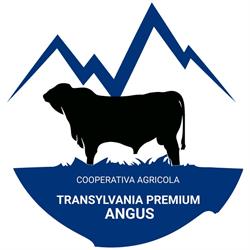 TRANSYLVANIA PREMIUM ANGUS Cooperativa Agricola, Galda de Jos