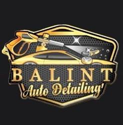 Balint Tour, Timişoara