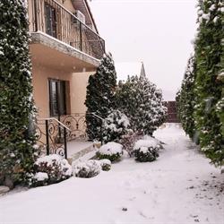 Casa Iancu, Băile Felix