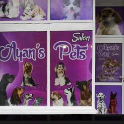Ayan's Pets, Târgu Jiu
