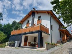 Casa Măriucăi, Borşa
