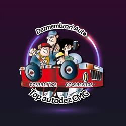 Top Autodez CMG Dezmembrari Auto Valcea, Vlădeşti