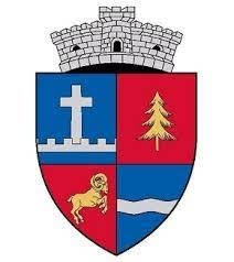 Primăria Rucăr