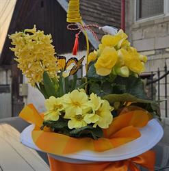 YLY'S FLOWERS, Bistra