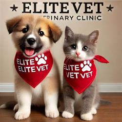 Elite Vet, Valea Adâncă