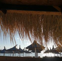 The Boat, Vama Veche