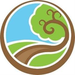 Curly Guide Tours, Cluj-Napoca
