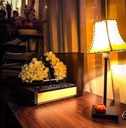 Restaurant Pizzerie Corso, Cugir