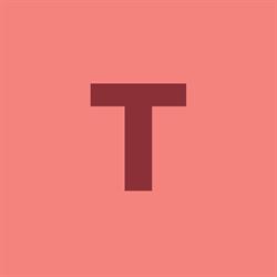 TIMTRONICS INDUSTRIAL TECHNOLOGIES SRL, Timişoara