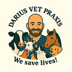 darius vet, Rupea