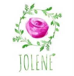 Jolene - Invitatii Nunta & Botez, Iaşi