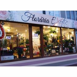Florăria Exotic, Galaţi