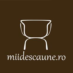 miidescaune.ro, Cluj-Napoca