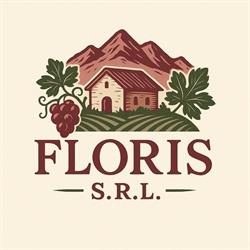 FLORIS S.R.L., Miercurea-Ciuc