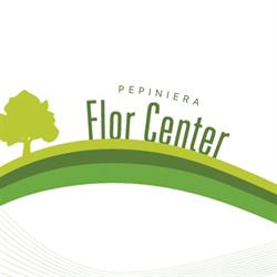 Flor-Center, Moşniţa Nouă