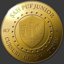 Sah Puf Junior, Otopeni
