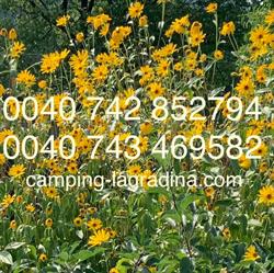 Camping La Gradina, Comăneşti