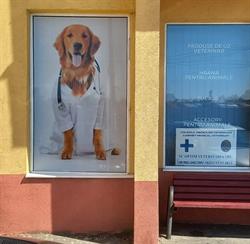 Optim veterinaria - urgenţe veterinare non stop, Arad