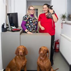 Ariciul Vet Center, Floreşti