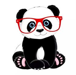 Panda Cool Optic, Constanţa