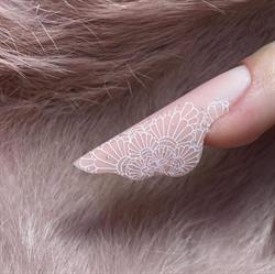 Camelia Suhastru Nails&Beauty, Sebeş