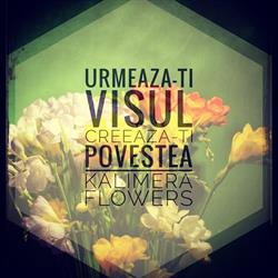 Kalimera Flowers, Braşov