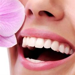 Smile Care Clinic, Floreşti