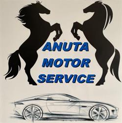 Anuta Motor Service s.r.l - Vulcanizare auto, Balş