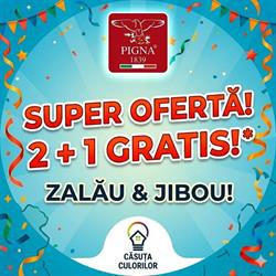 Casuta Culorilor Zalau