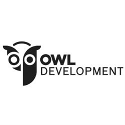 OWL Development, Timişoara
