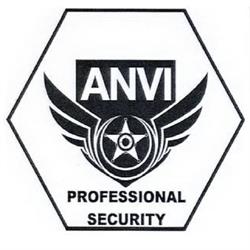 ANVI PROFESSIONAL SECURITY SRL, Botoşani