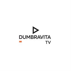 Dumbravita TV SRL