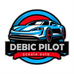 DEBIC PILOT S.R.L., Târgovişte