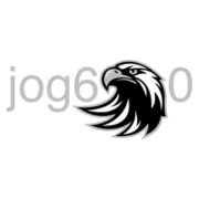 WEB SOLUTION JOG690 S.R.L., Timişoara