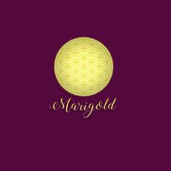 Marigold, Ploieşti