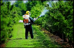 PestControl, Bucureşti