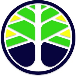 JustWeb, Bucureşti