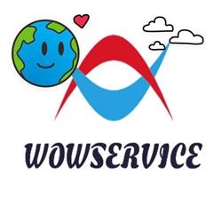 WOWSERVICE - Professional IT Services, Galaţi
