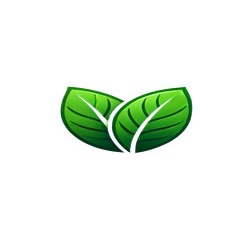 Green Webpage, Brăila