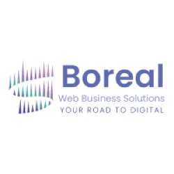 SC BOREAL WEB SRL, Reşiţa